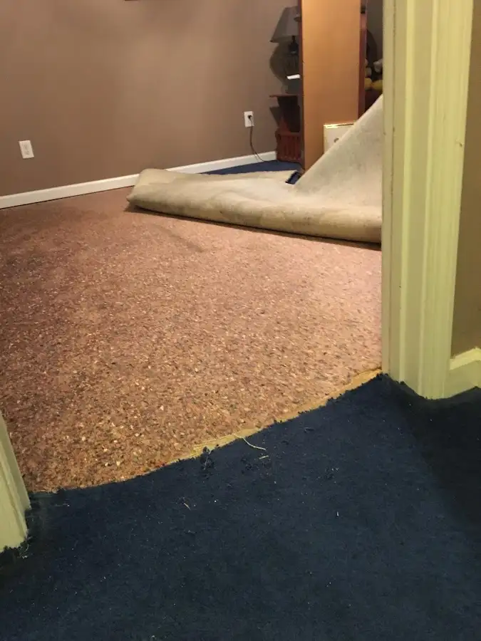 Carpet pad removal revealing water damage during Water Mitigation Services in Rossville