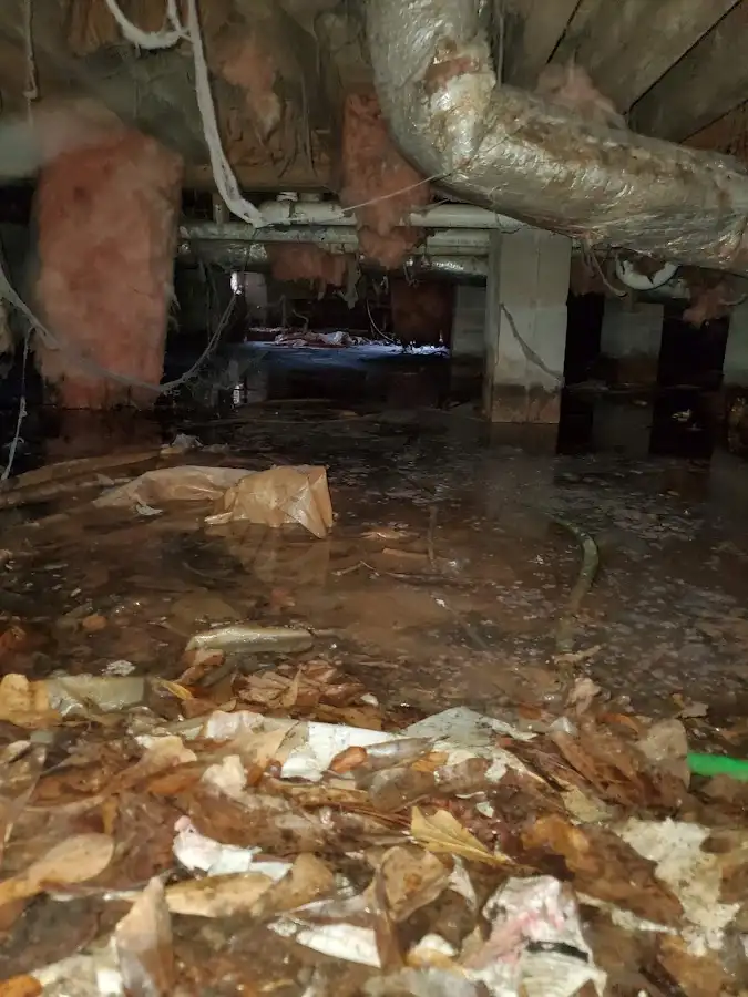 Crawl space flood assessment for Commercial Water Damage Restoration in Rossville